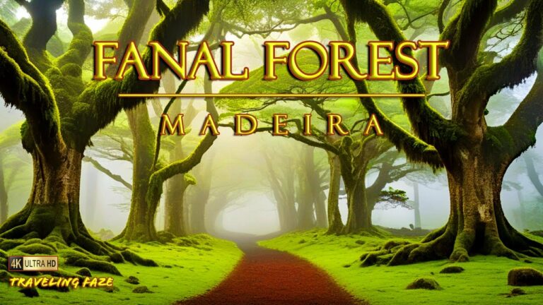 Fanal Forest, Madeira 4K ~ Travel Guide (Relaxing Music)